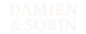Damien & Sorin